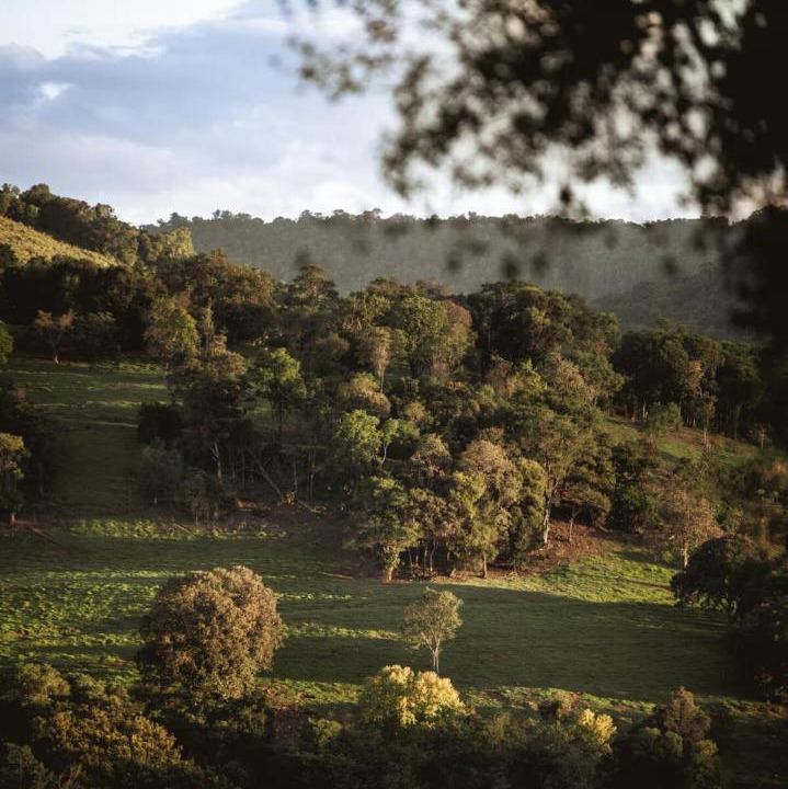 Photo of Others in Cordilheira Alta