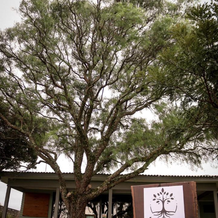 Photo of Others in Guarapuava