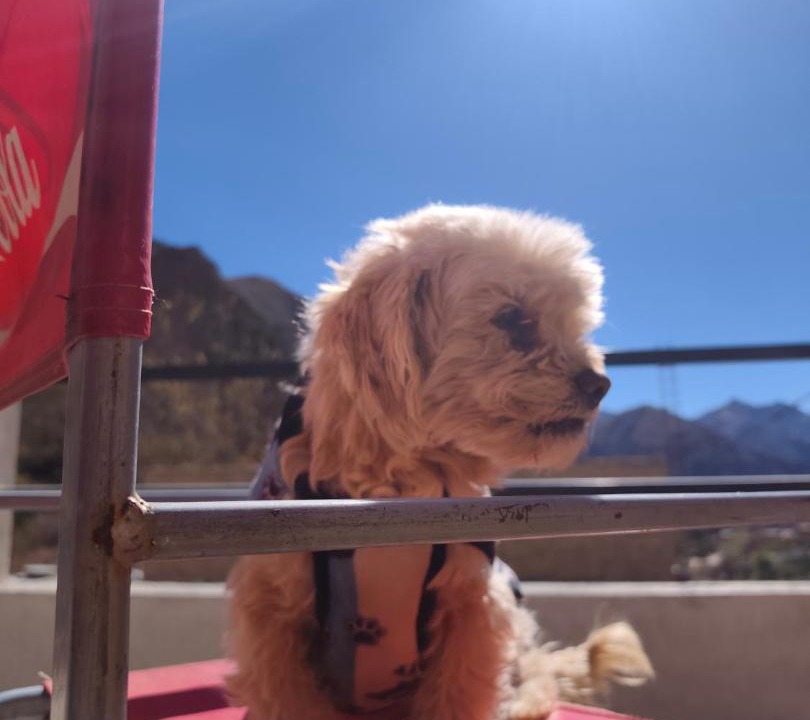Photo of Others in Iruya