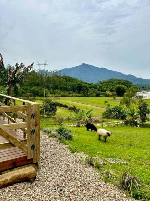 Photo of Others in Braco do Sul