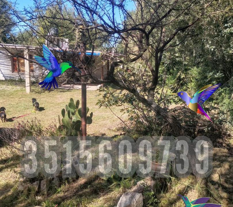 Photo of Others in La Estancia