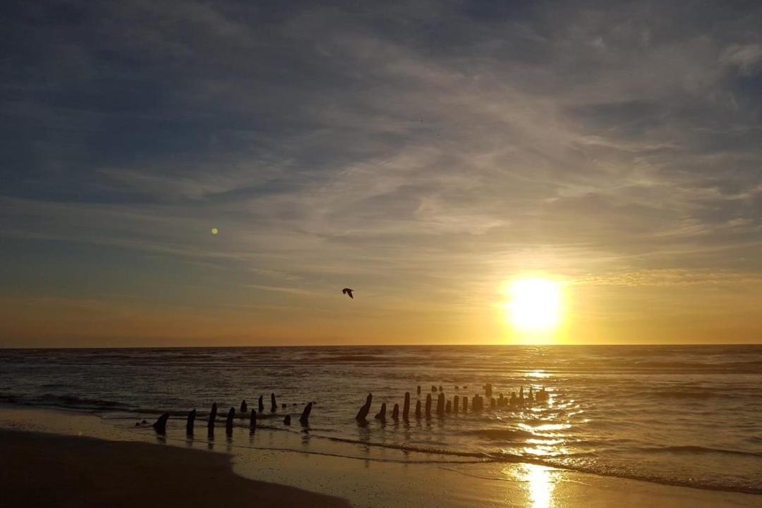 Photo of Others in Costa del Este