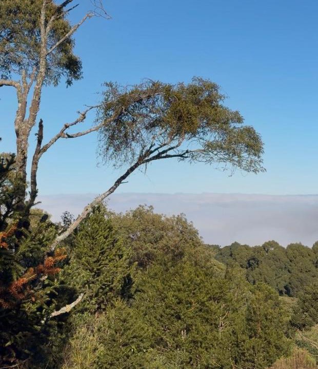 Photo of Others in Bom Jardim da Serra