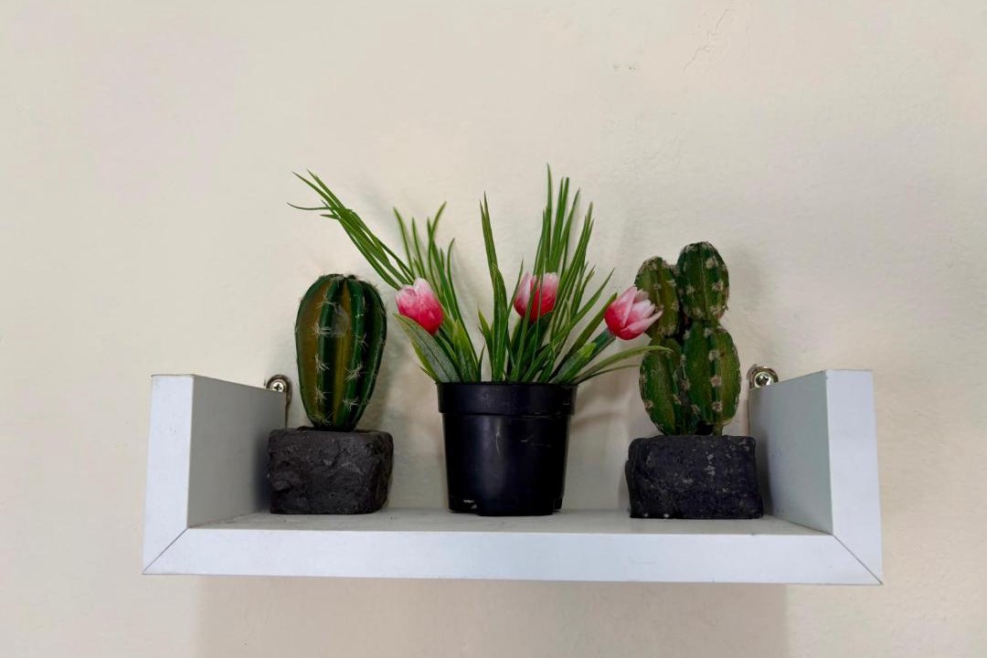 Photo of Others in Jardim Centenario