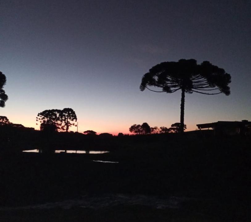 Photo of Others in Campo Alegre