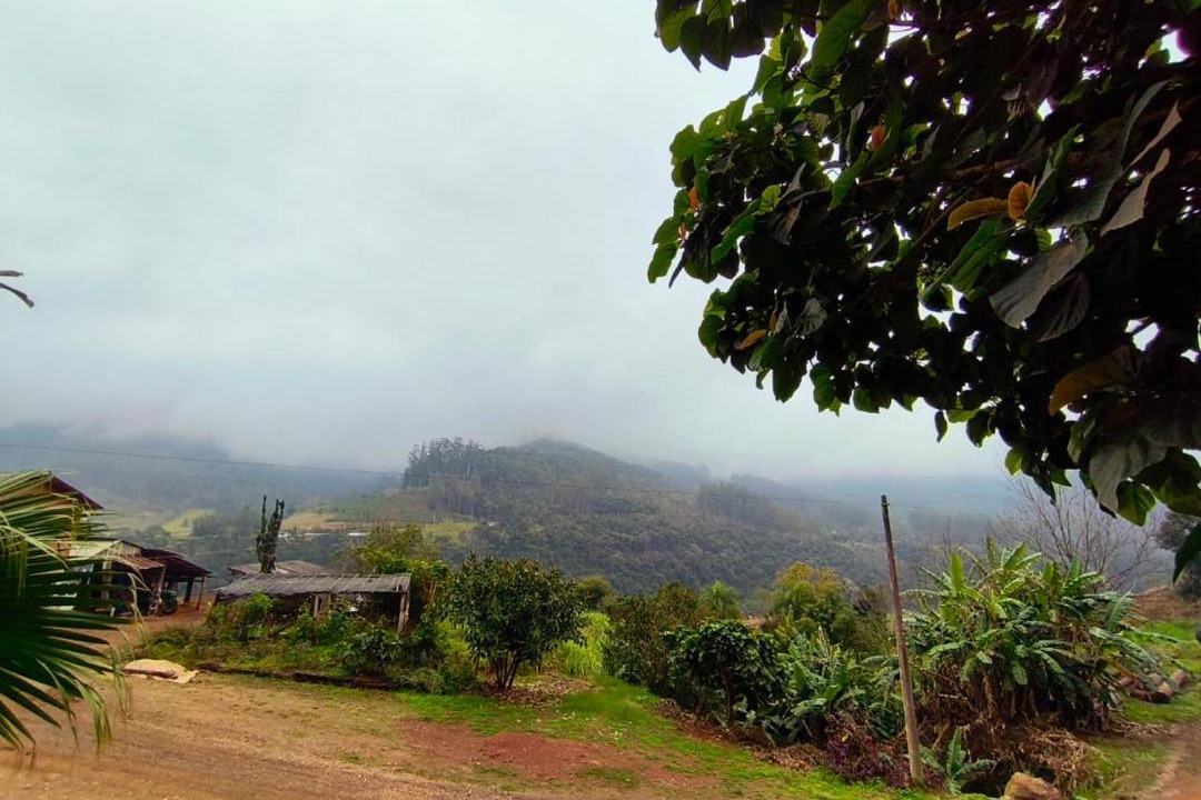 Photo of Others in Vespasiano Correa