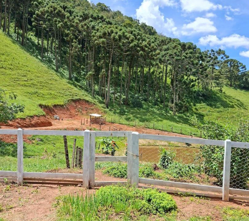 Photo of Others in Cambui