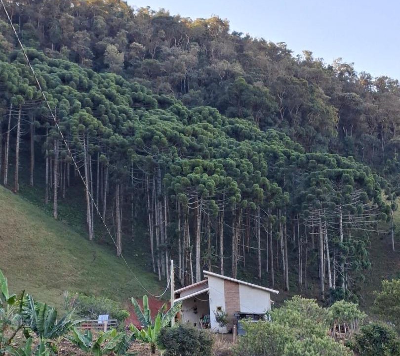 Photo of Others in Cambui