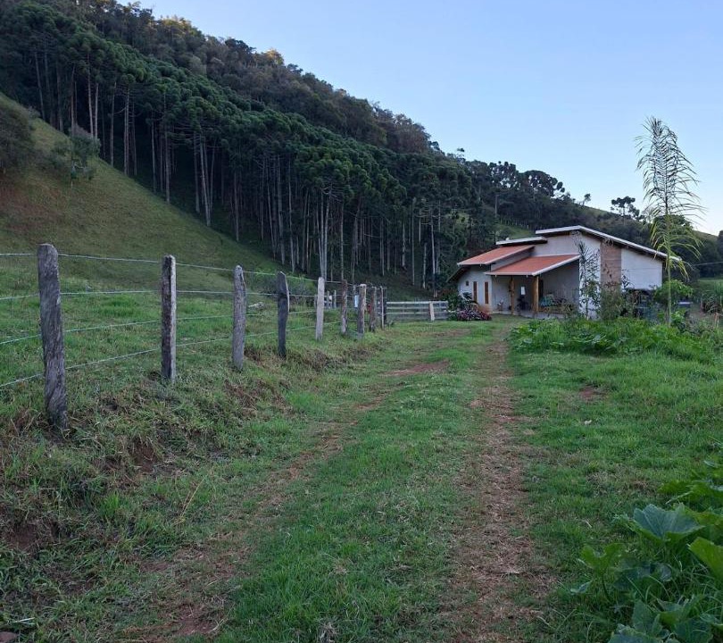 Photo of Others in Cambui
