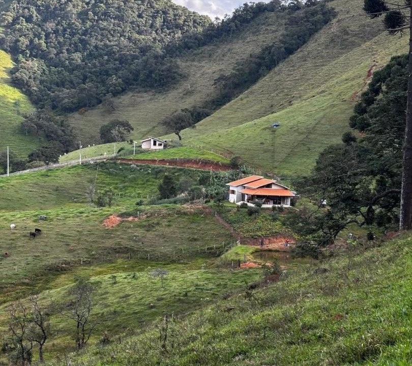 Photo of Others in Cambui