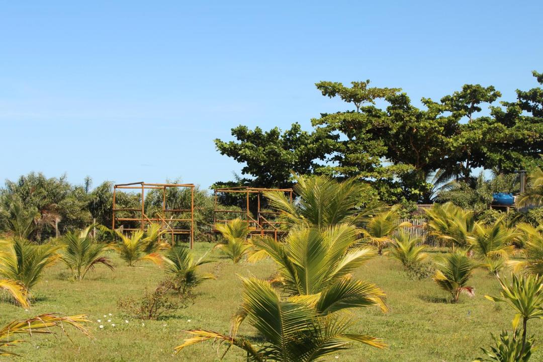 Photo of Others in Santo Andre