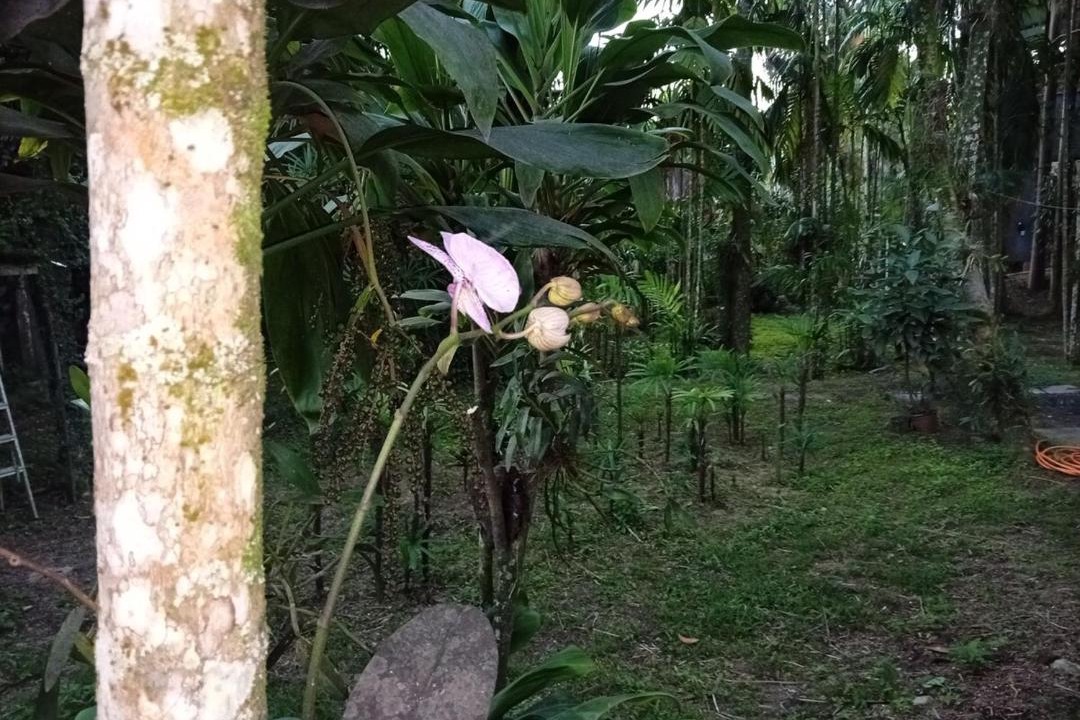 Photo of Others in Vargem Grande