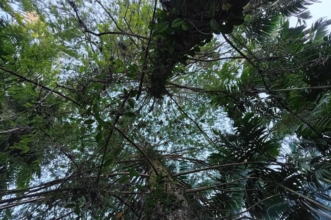 Photo of Outdoor in Vargem Grande