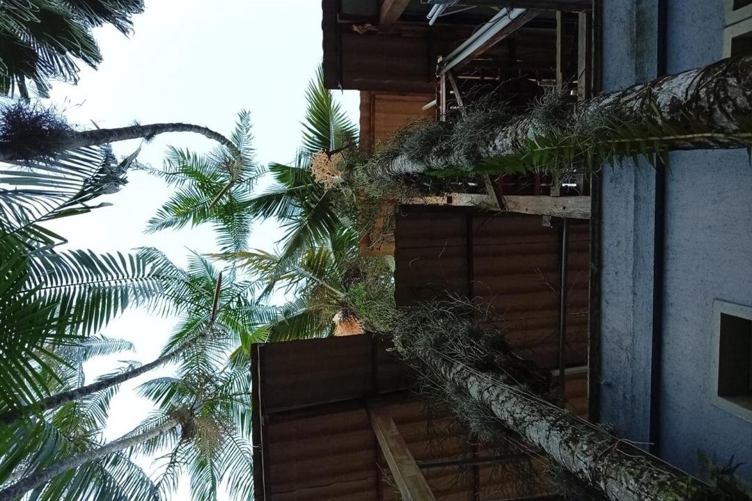 Photo of Others in Vargem Grande