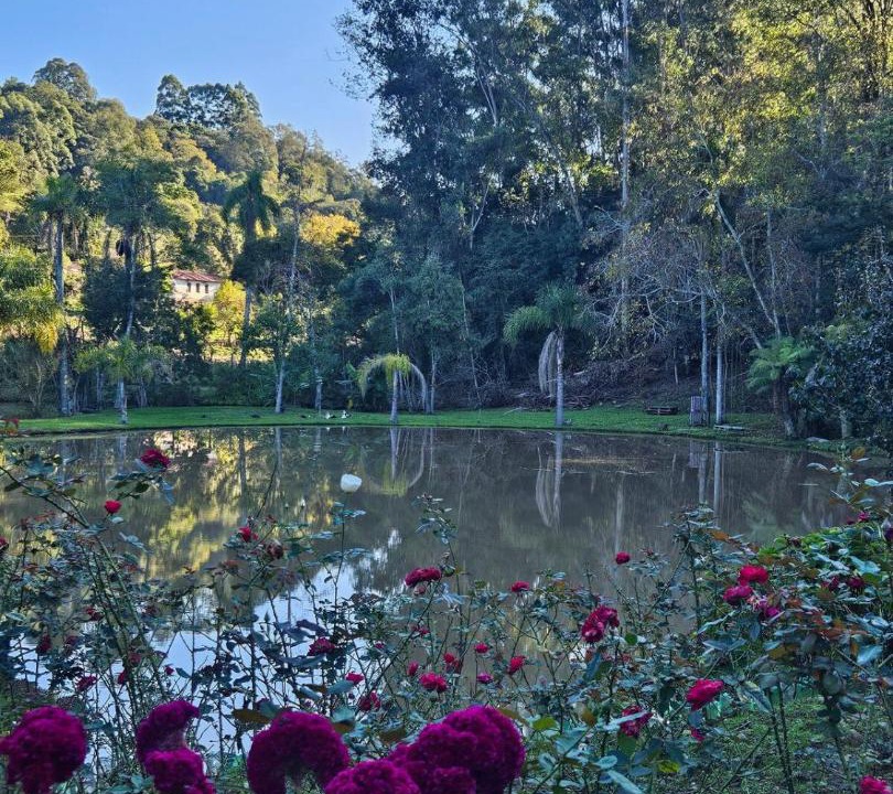 Photo of Outdoor in Carlos Barbosa
