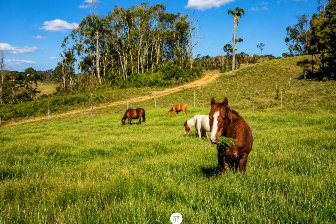 Photo of Others in Rancho Queimado