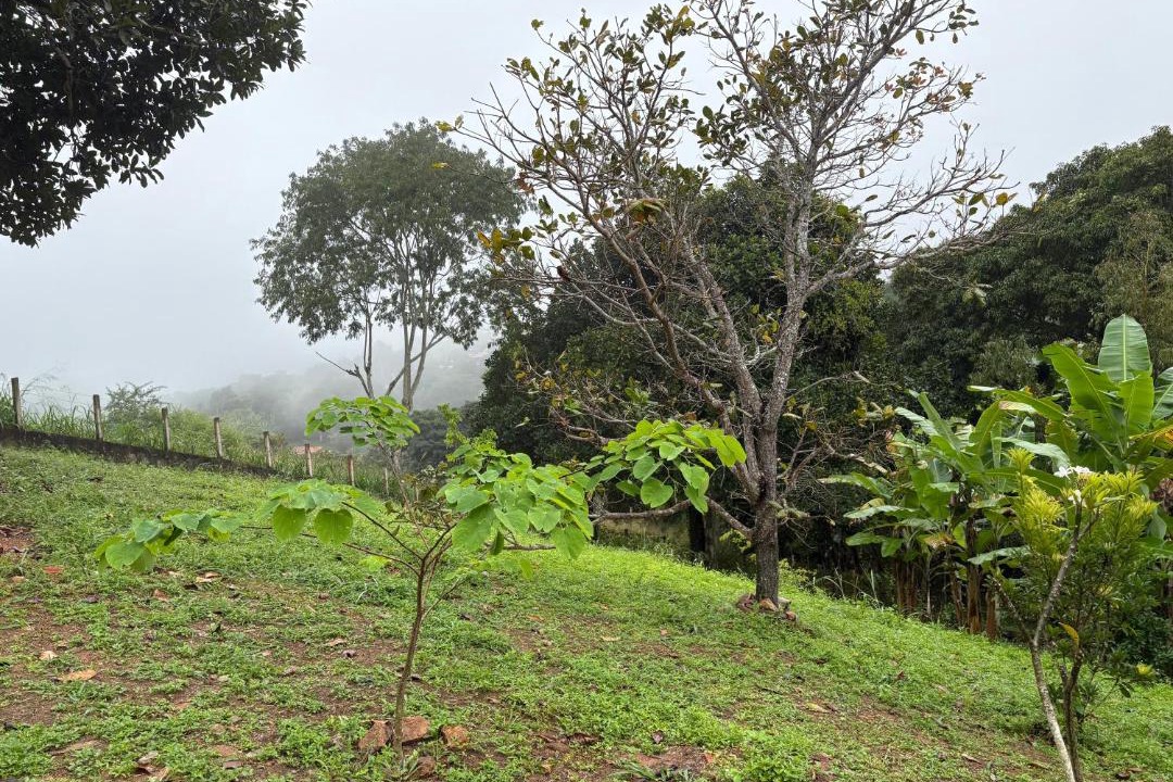 Photo of Others in Northeast Region
