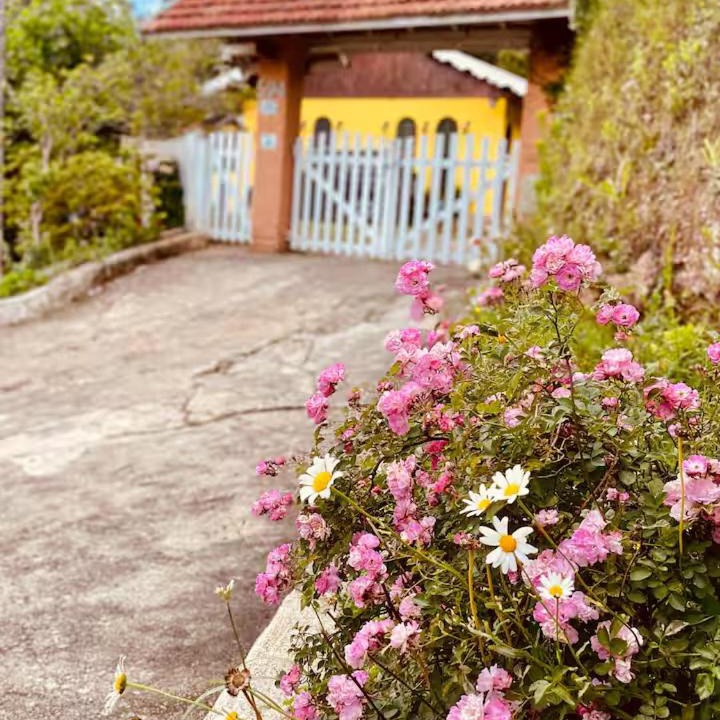Photo of Others in Jardim Nova Suica