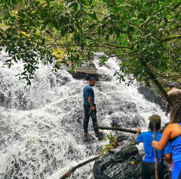 Photo of Others in Santa Rita do Ribeira