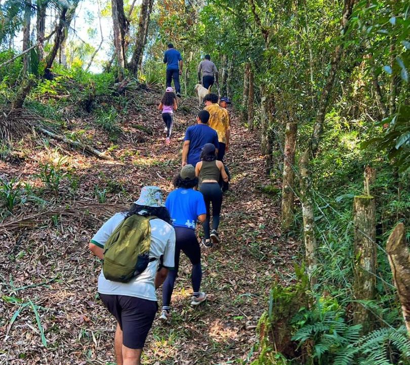 Photo of Others in Santa Rita do Ribeira