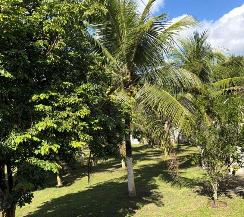 Photo of Others in Sao Lourenco da Mata