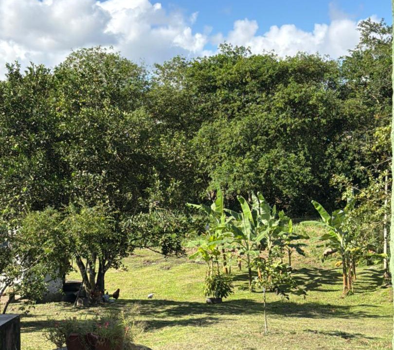 Photo of Others in Sao Lourenco da Mata