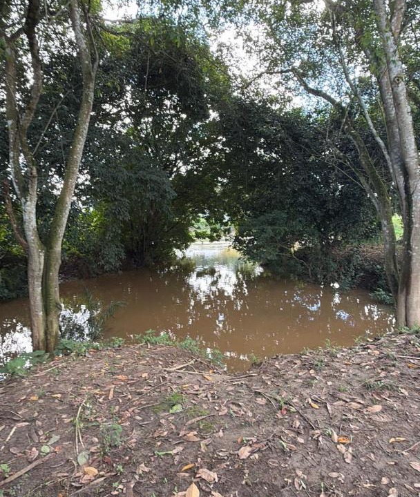 Photo of Others in Sao Lourenco da Mata
