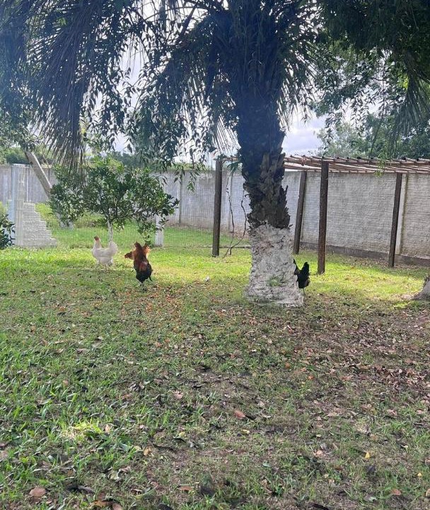 Photo of Others in Capao do Leao