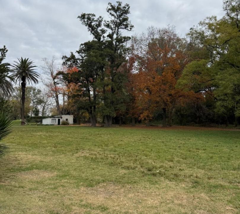Photo of Others in Carmen de Areco
