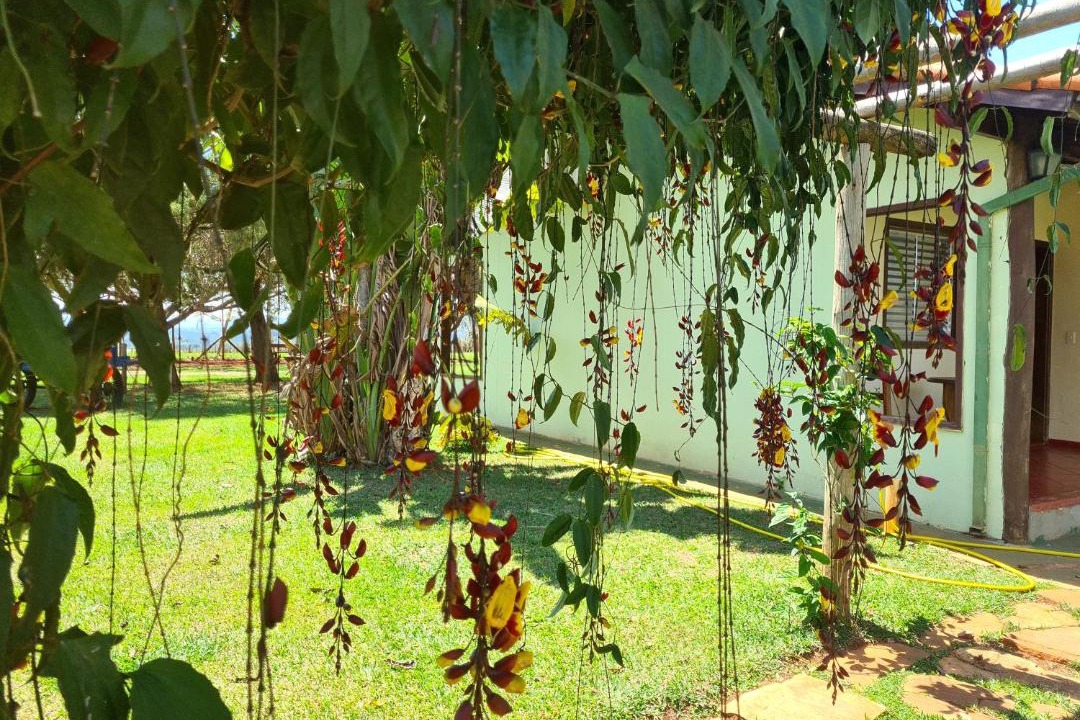 Photo of Others in Cassia