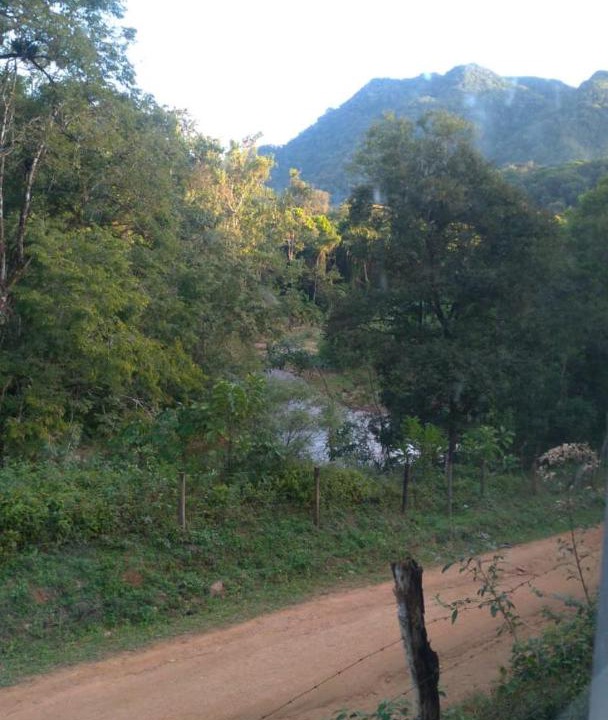 Photo of Others in Iporanga