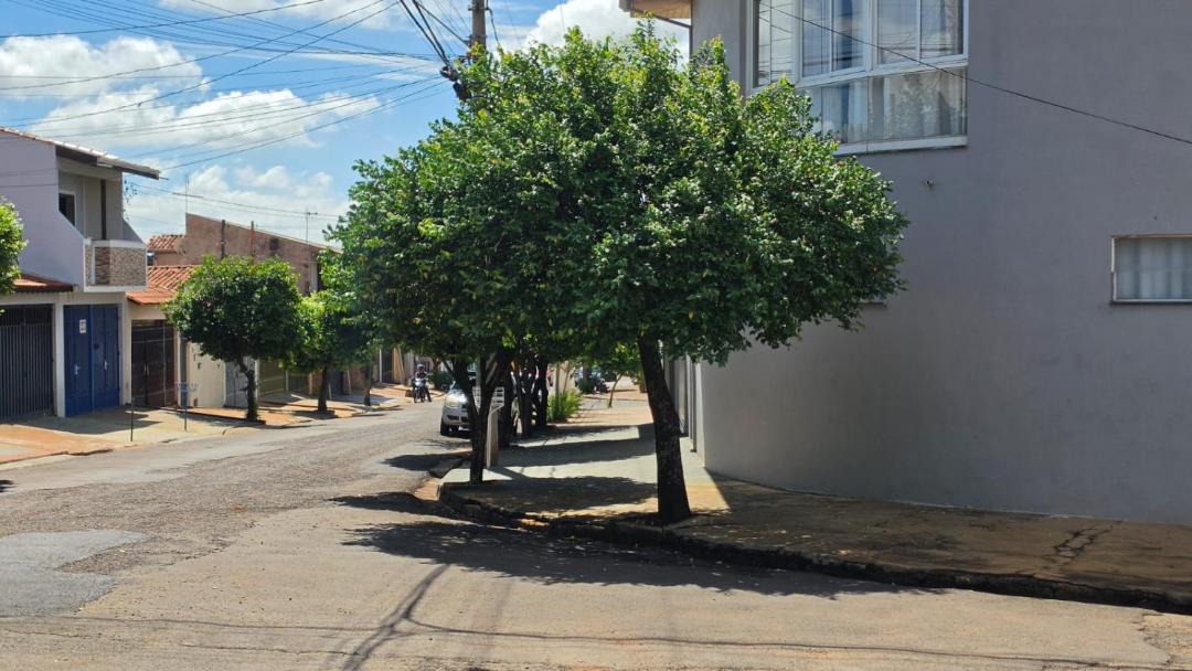 Photo of Others in Bauru