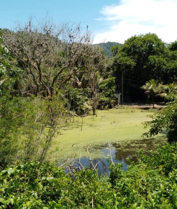 Photo of Others in Guaratiba