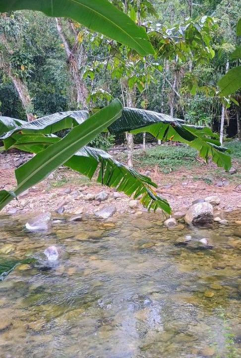 Photo of Outdoor in Sertao do Taquari