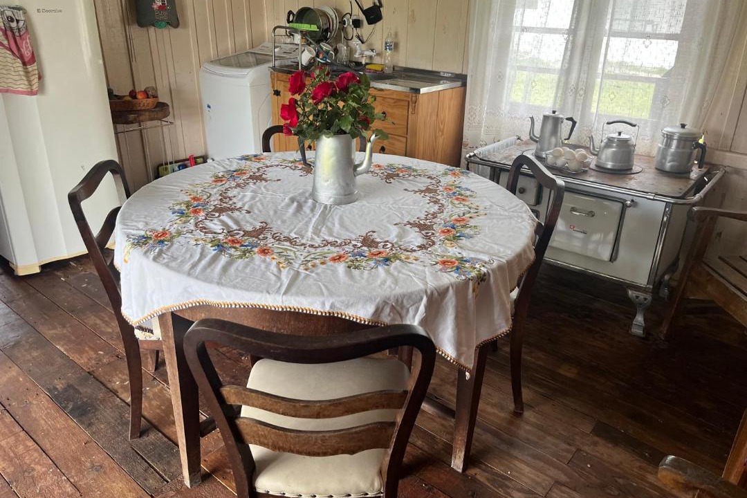 Photo of Kitchen in Alfredo Wagner