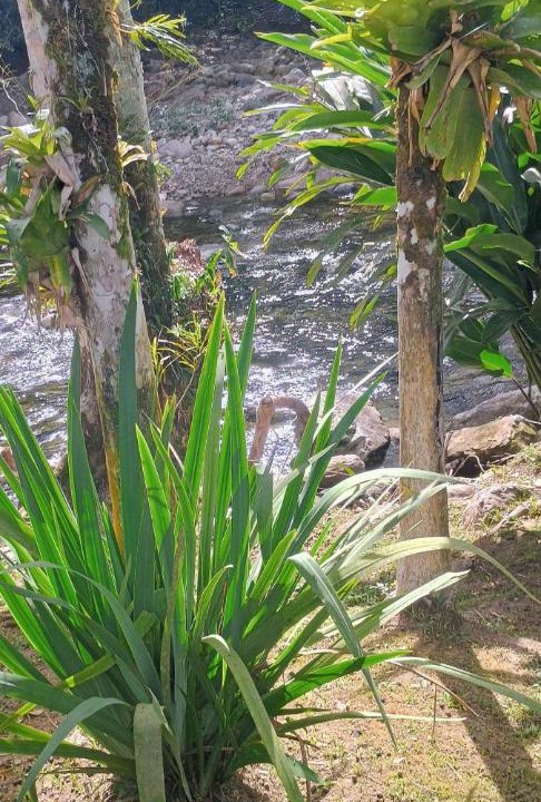 Photo of Outdoor in Sertao do Taquari