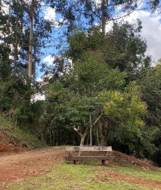Photo of Others in Carlos Barbosa