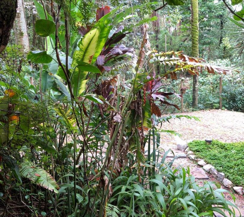 Photo of Others in Casa Branca