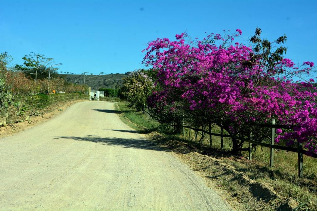 Photo of Outdoor in Saire