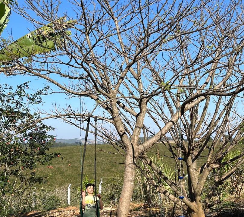 Photo of Others in Muzambinho