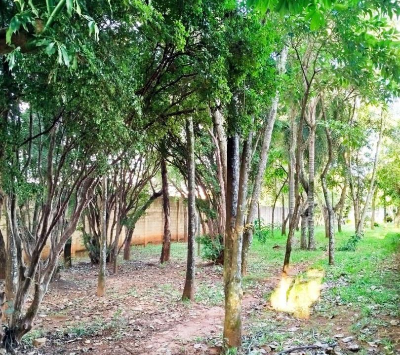 Photo of Others in Franca