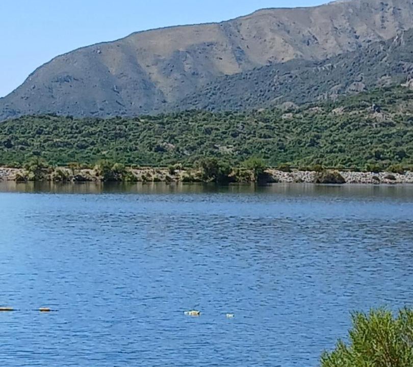 Photo of Others in Cortaderas