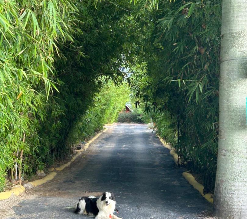 Photo of Others in Serra de Sao Bento