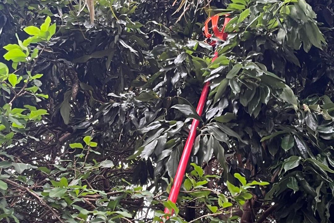 Photo of Others in Nova Andradina