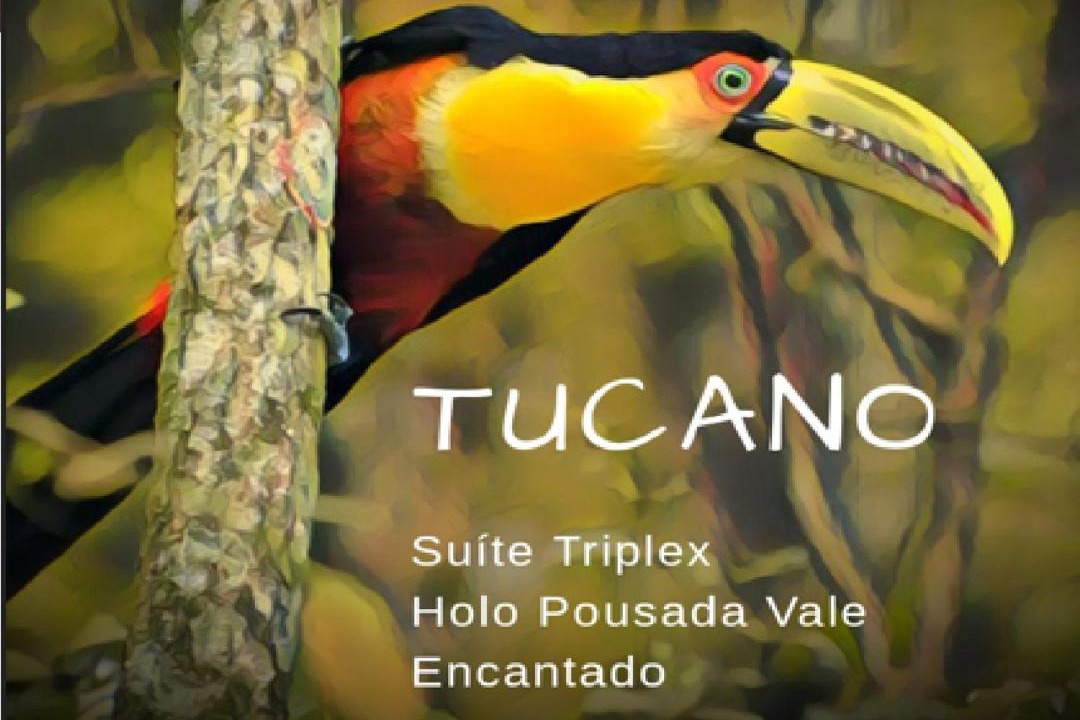 Photo of Others in Rancho Queimado