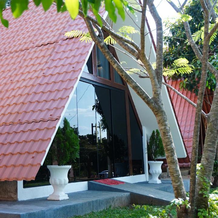 Photo of Others in Vicosa do Ceara