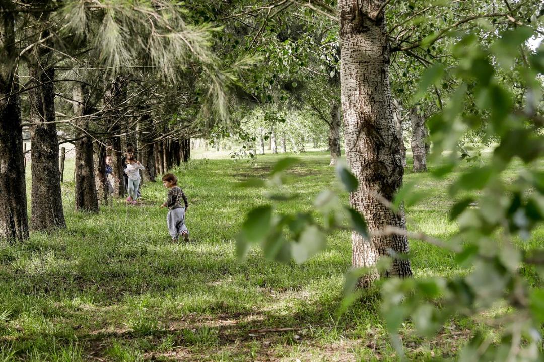 Photo of Others in Canuelas