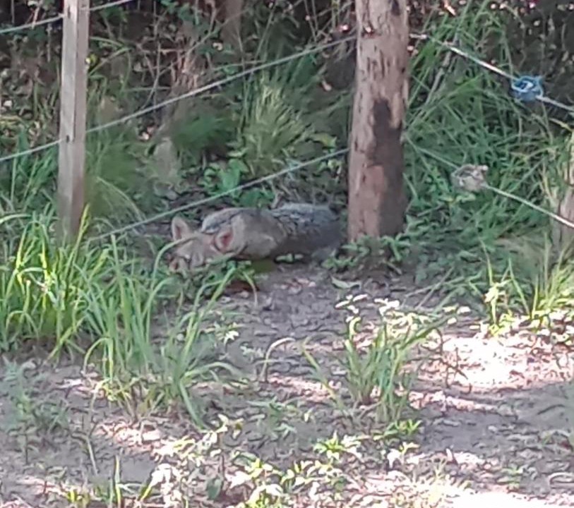 Photo of Outdoor in Las Rabonas
