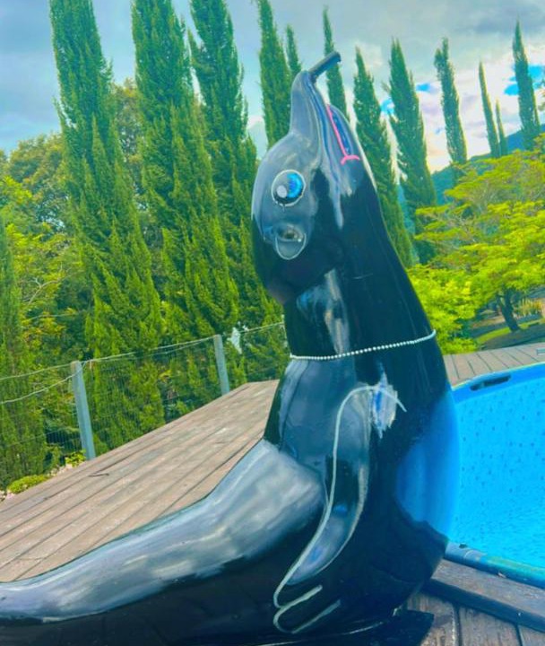 Photo of Others in Gramado