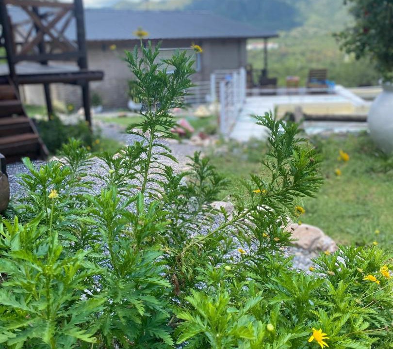 Photo of Outdoor in Bialet Masse